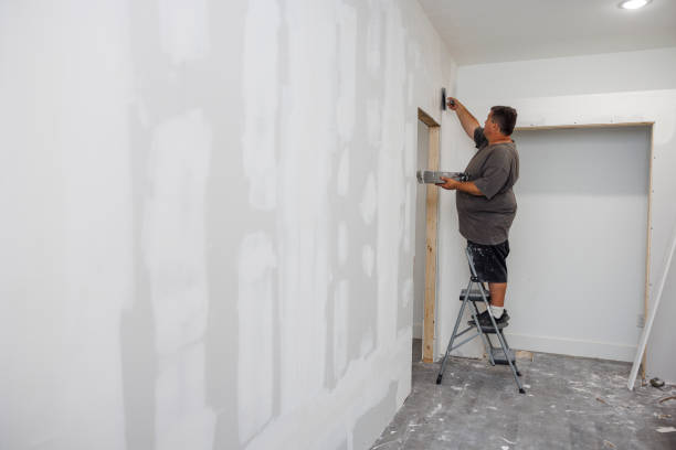 Teutopolis, IL Mold Removal Company